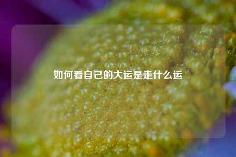 走财运的大运有什么特征