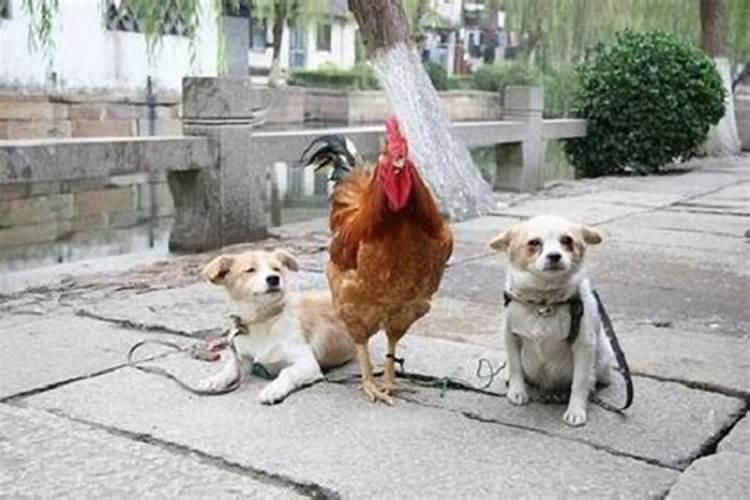 2018如何化解太岁？