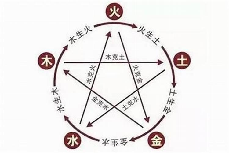 属狗2024年用什么微信头像最好 今年用什么头像最好