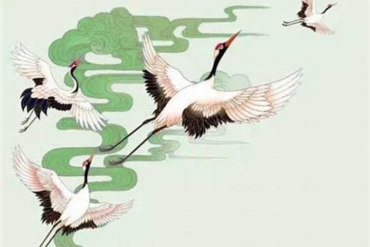 八字测桃花 本命年犯桃花运好不好