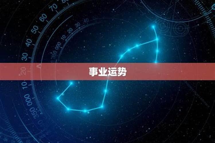 属虎2025年运势及运
