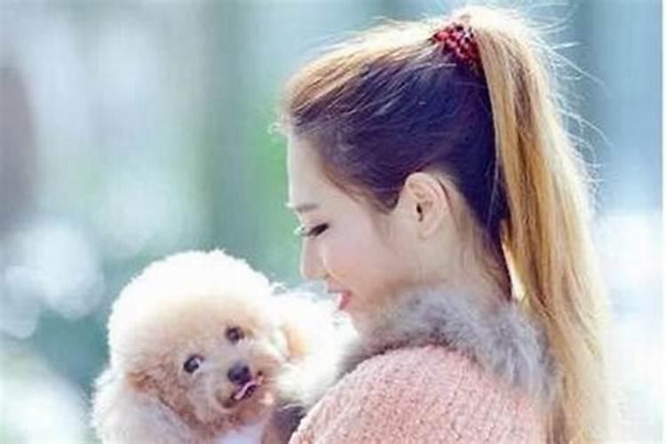 属马的婚姻为什么那么多坎坷,为什么说属马的人一生会经历婚姻裂变？