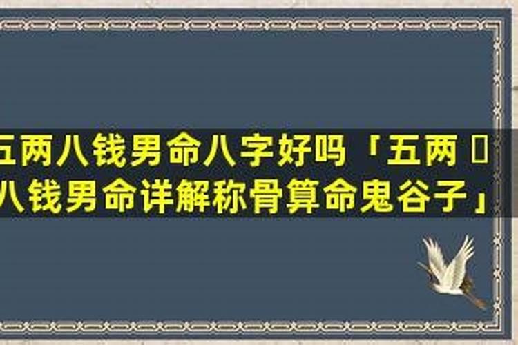 五两五钱男命有官运吗