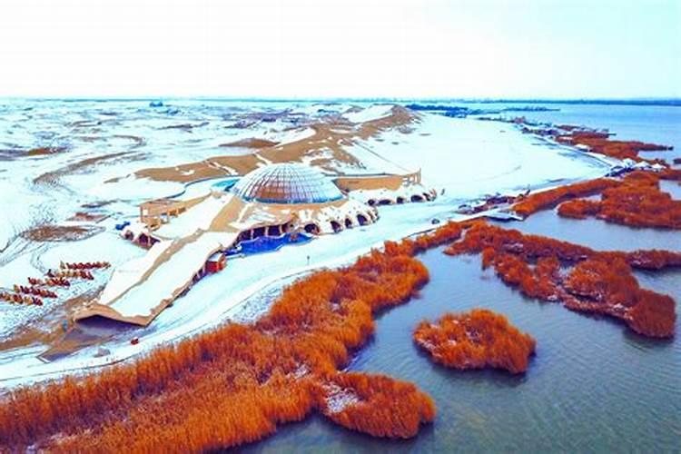 冬至吃饺子是为了纪念谁？冬至节气吃头脑是什么？
