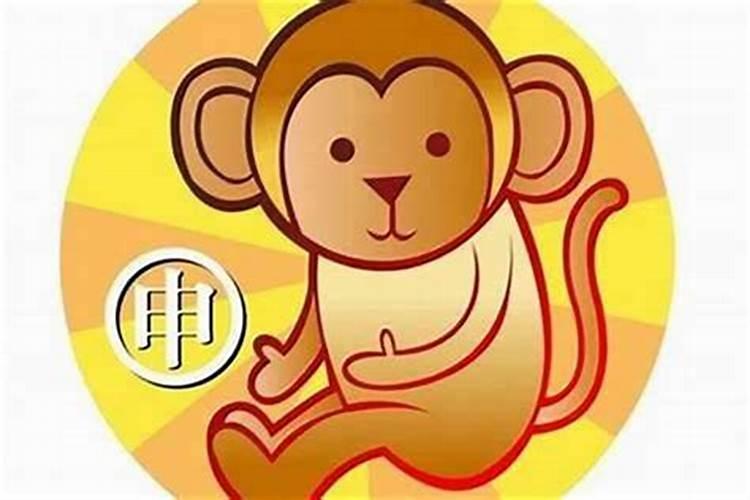 2025本命年穿什么颜色的衣服好