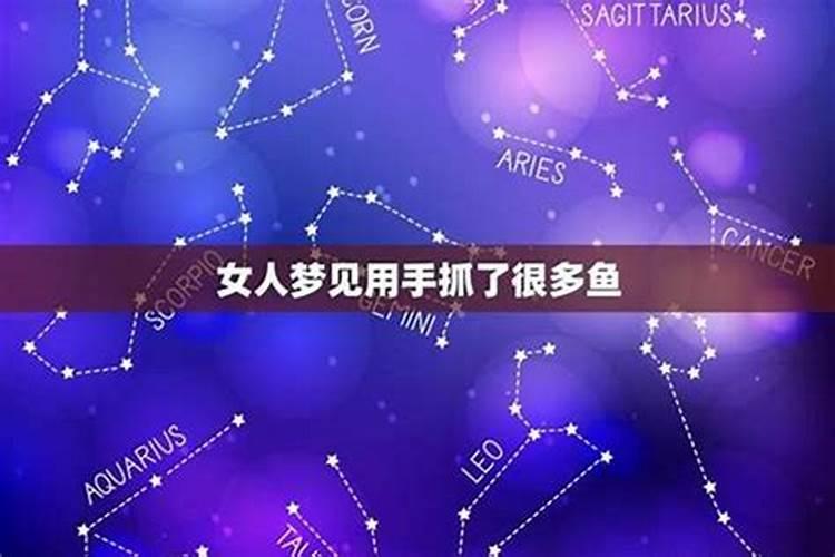 梦见很多鱼是什么预兆？
