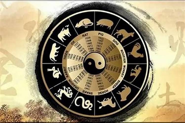 属猪2025年冲太岁能化解吗