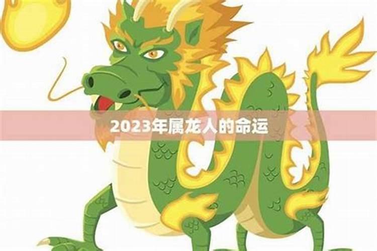1976年属龙人2025年全年运势