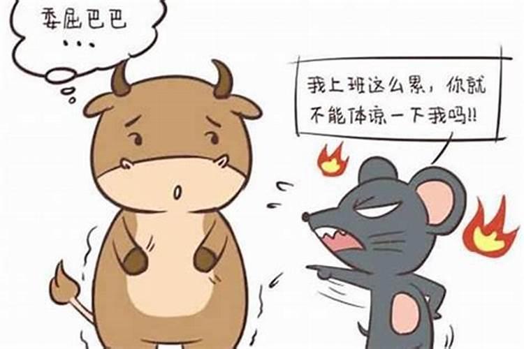 属猪的和属鼠的相配吗95猪男和96鼠女水火不容吗