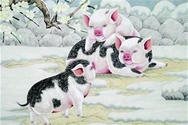 己酉日柱三命通会,属龙之人为贵人