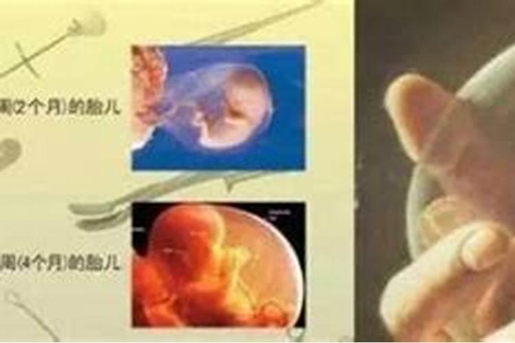 怎么供奉自己的太岁