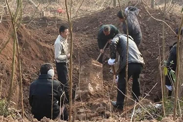 放生有什么讲究？