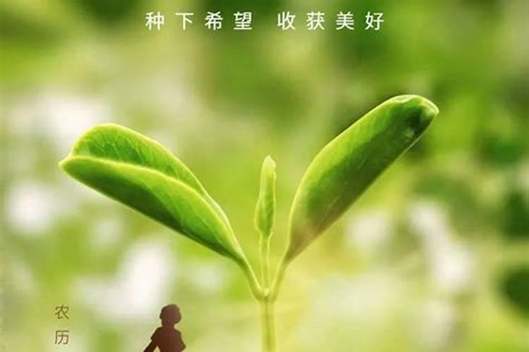 播种节和收获节是那个少数民族的节日