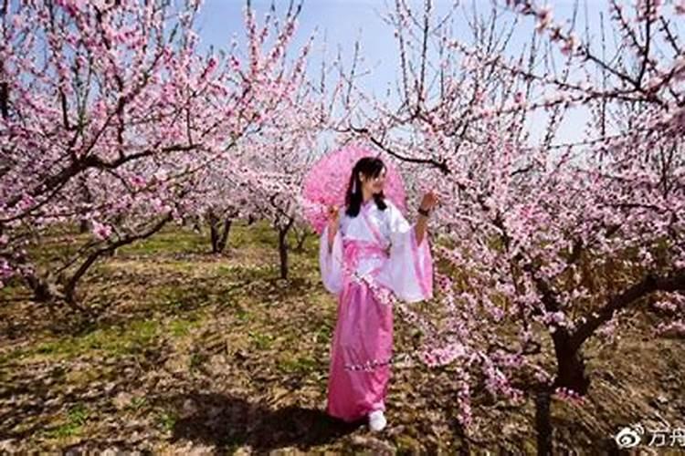 桃花煞是什么意思