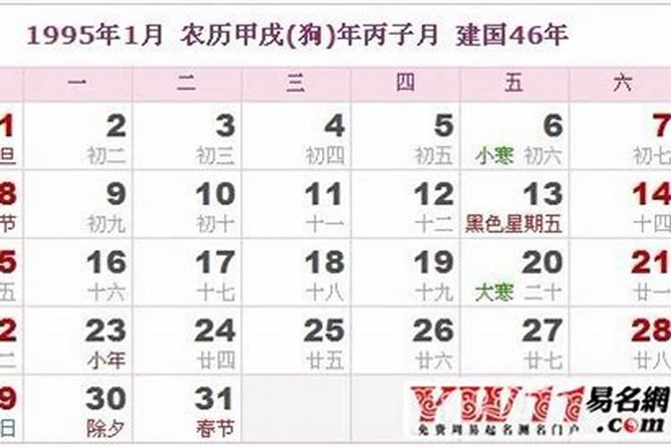 农历1995年12月21日出生的孩子天干地支是什么