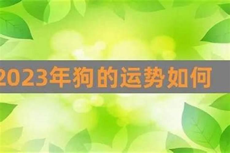 70年属狗55岁女2025全程运势