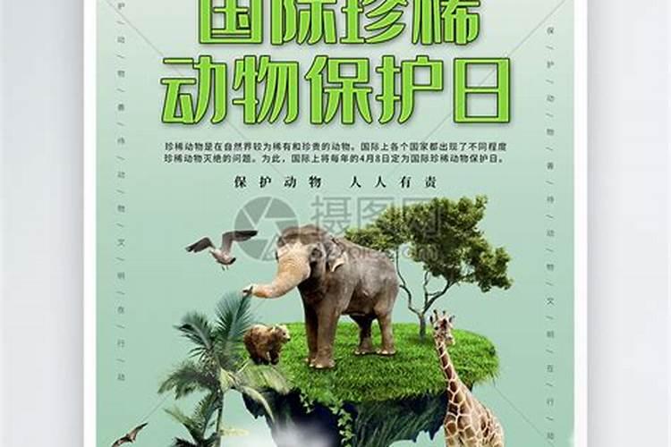 联合国宣布3月3日是什么日子