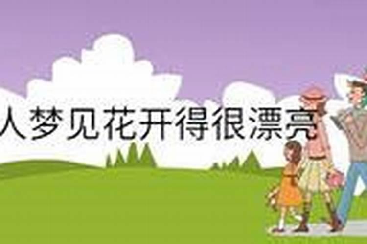 82年狗女2025年运势及运程每月运程