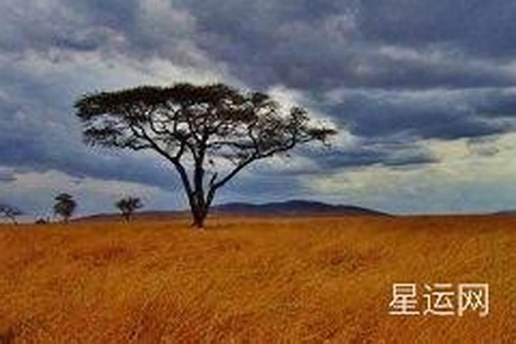 晚年享福的八字,请懂八字的朋友分析一下我的八字 详细些
