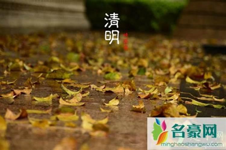 清明节上坟“四不做”,是什么习俗？