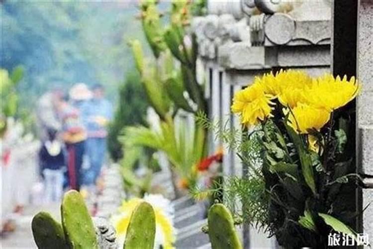 山东的清明节习俗