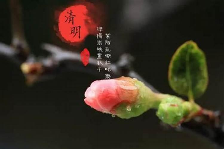 七月十五什么时候上坟什么时间上坟最好？