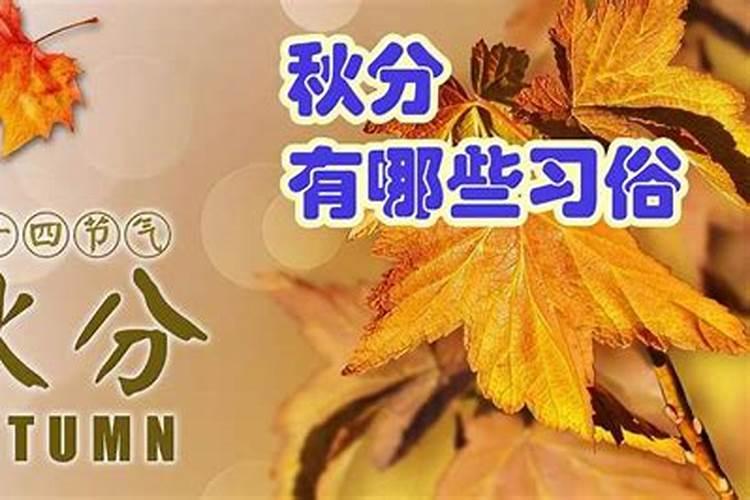 哪些八字的人适合开车,八字火旺的女人适合做什么