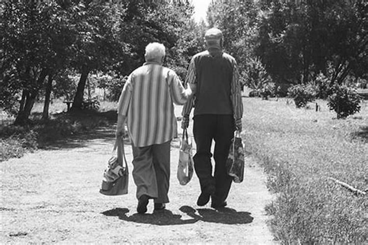 74年属虎人今年运程顺利吗何时走大运