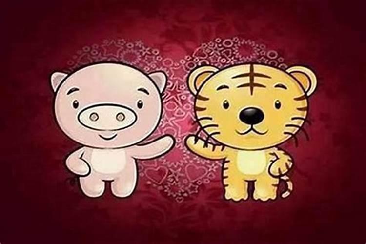 71年的男猪与86年的女虎相配吗？在一起会幸福吗？
