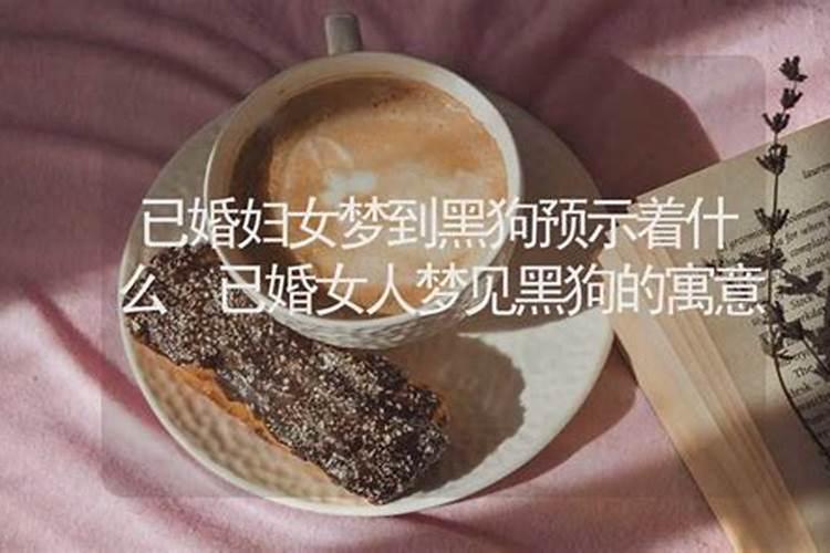 女人梦见多少条黑狗的财运