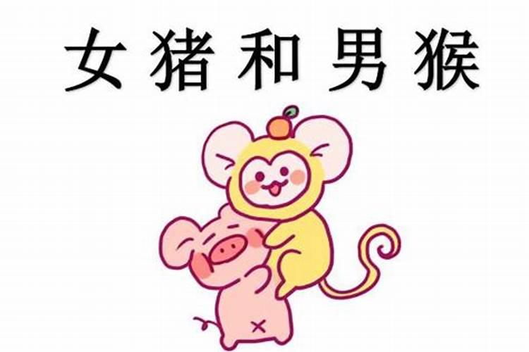 92年属猴的男生和95年属猪的女生婚姻配吗？