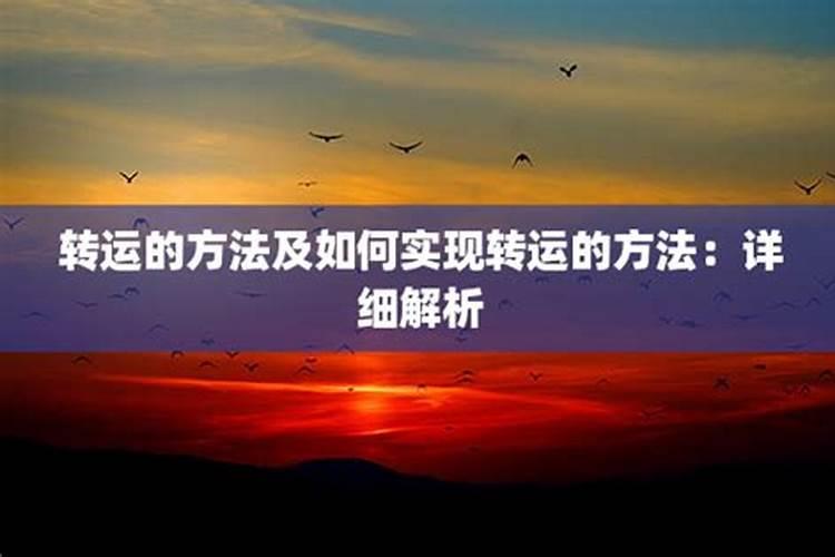 属鸡人2024年运势及运程每月运程