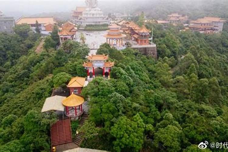 观音山上观山水念想佛前念佛经。开门红作品？