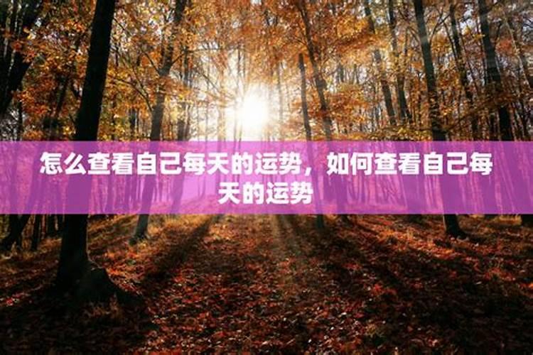 怎么查自己的运气