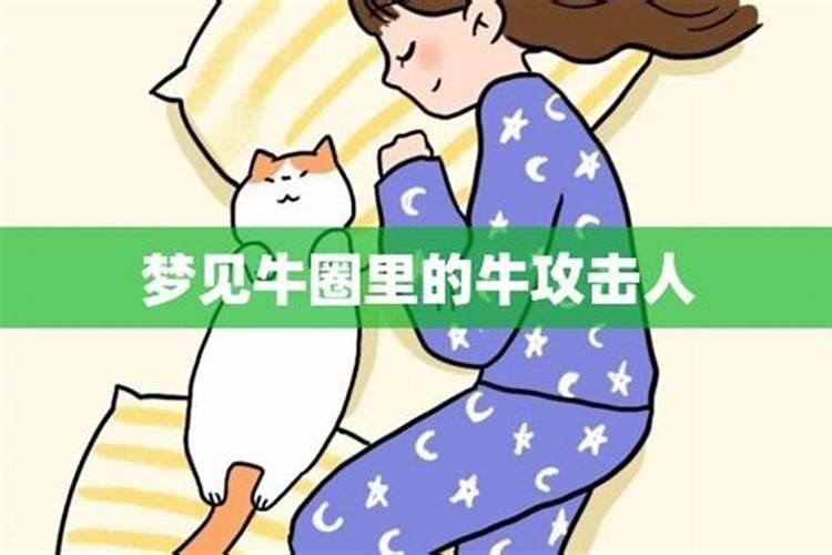 梦见牛棚着火