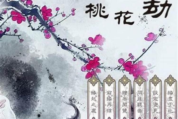 07年猪在2025蛇年升学的运气