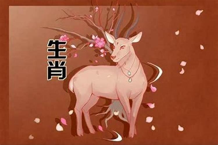 武曲七杀命宫女都嫁给了什么 配偶为事业有成之人