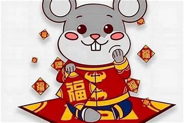 72年鼠的一生