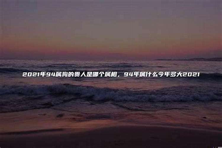 梦见狗丢了又找到了是什么预兆