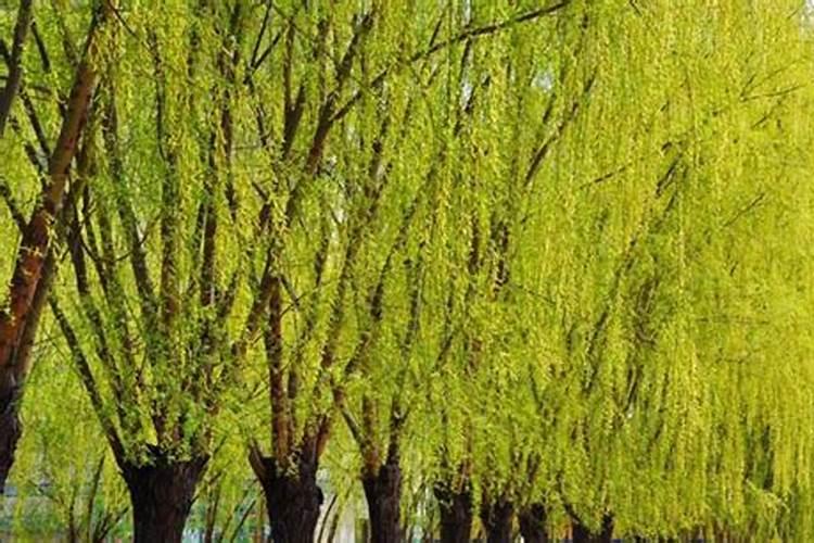 新房装修需要选个好日子动工吗？有什么讲究呢？