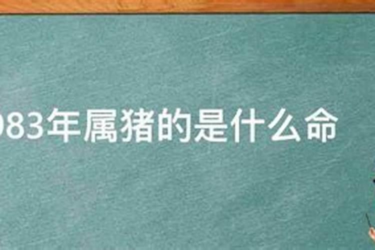 1983年狗是什么命 83年猪40岁后十年大运运程