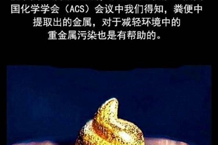 梦见马粪是什么意思 预兆