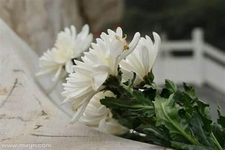梦见扫墓有什么预兆