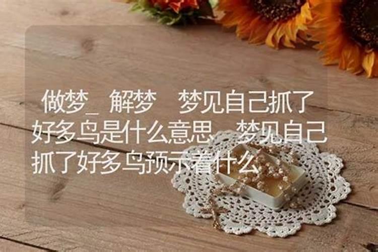 梦见很多鸟在我家门上的预兆