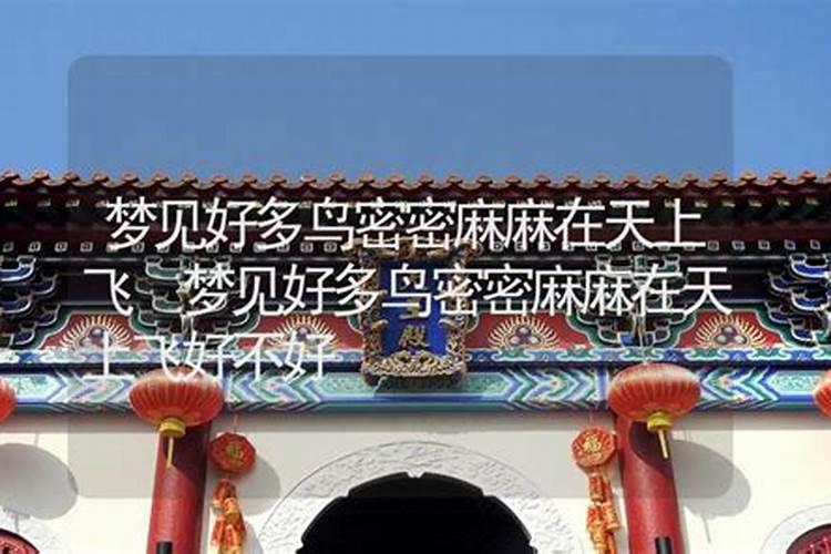 梦见房子里有鸟的预兆