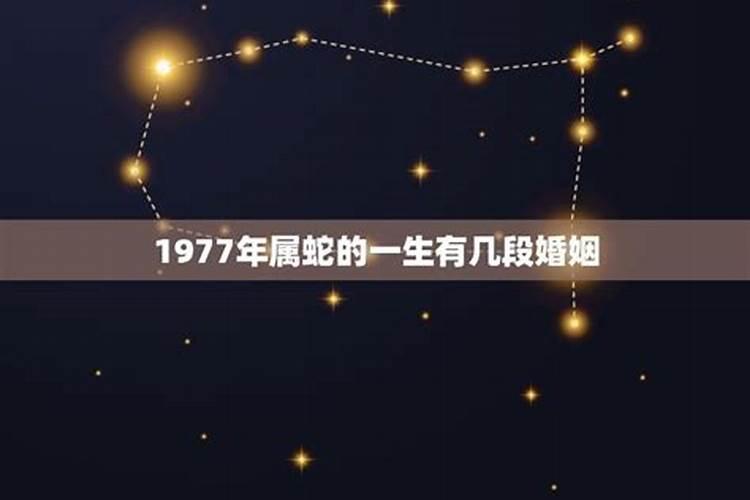 鼠女最佳婚配前十名属相,女属鼠配什么属相最合适