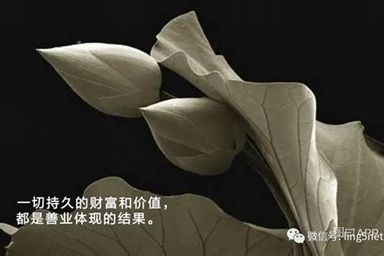 兔男和牛女在一起后果