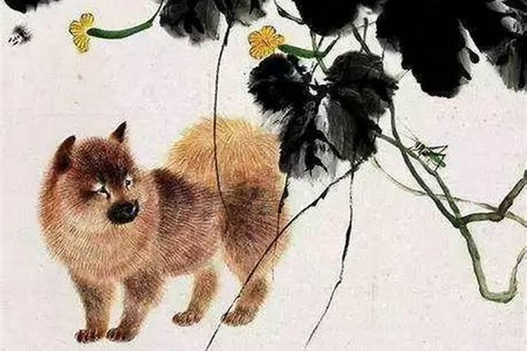 农历11月份出生的属狗人命运