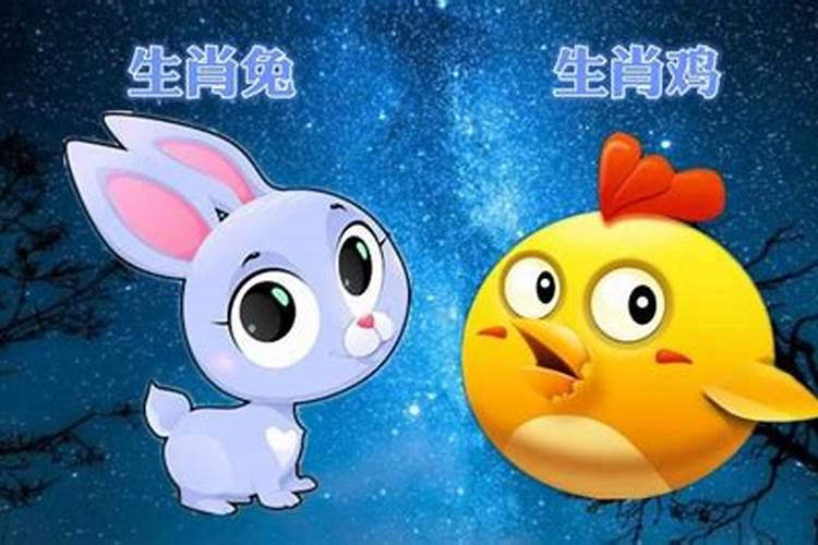 立夏做什么