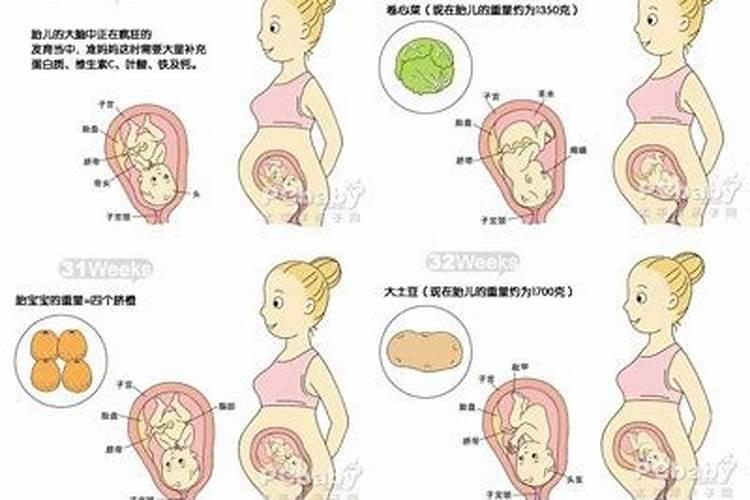 孕妇做梦梦见婴儿预示着什么  百度宝宝知道